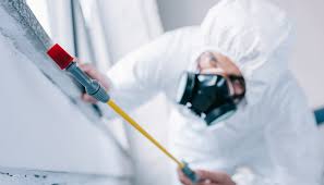 Pest Control for Hotels in Roosevelt, NY